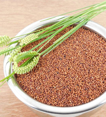 ragi